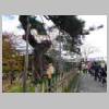 DSCN8126.JPG