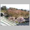 DSCN8155.JPG