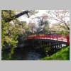 DSCN8169.JPG