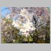 DSCN8221.JPG