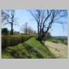 DSCN8260.JPG