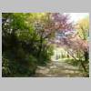 DSCN8593.JPG