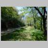 DSCN8595.JPG
