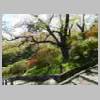 DSCN8598.JPG