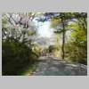 DSCN8606.JPG