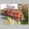 DSCN6508.JPG