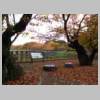 DSCN6516.JPG