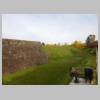 DSCN6520.JPG