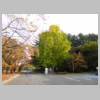 DSCN6530.JPG