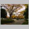 DSCN6539.JPG