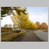 DSCN6548.JPG