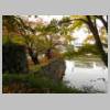 DSCN6559.JPG