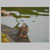 DSCN6565.JPG