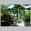 DSCN8800.JPG