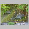 DSCN8814.JPG