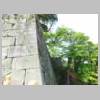 DSCN8702.JPG