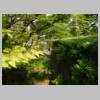 DSCN8729.JPG