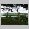 DSCN9068.JPG