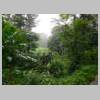 DSCN4315.JPG