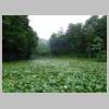 DSCN9093.JPG