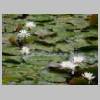 DSCN9095.JPG