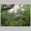 DSCN9097.JPG
