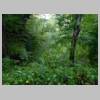 DSCN9106.JPG