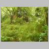 DSCN9120.JPG
