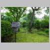 DSCN9131.JPG