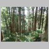 DSCN3841.JPG