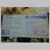 DSCN0210.JPG