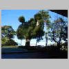 DSCN0228.JPG