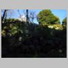 DSCN0241.JPG