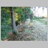 DSCN0277.JPG