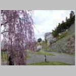 DSCN0891.JPG