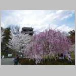 DSCN0893.JPG