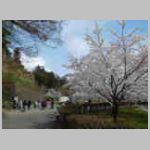 DSCN0895.JPG