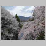 DSCN0900.JPG