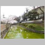 DSCN0904.JPG