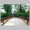 DSCN9906.JPG