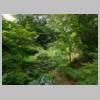 DSCN9907.JPG