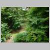 DSCN9908.JPG