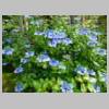 DSCN9916.JPG