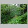 DSCN9573.JPG