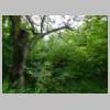 DSCN9574.JPG