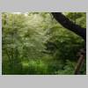 DSCN9578.JPG
