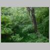 DSCN9580.JPG