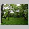 DSCN9581.JPG