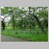 DSCN9590.JPG
