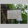 DSCN9595.JPG